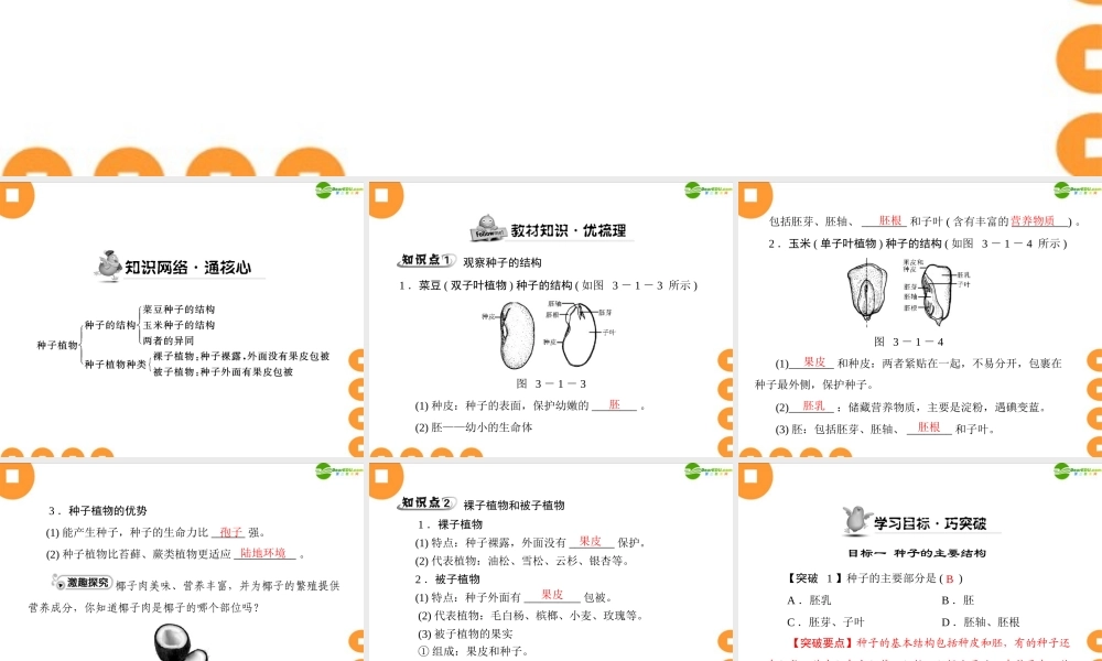 (随堂优化训练)七年级生物上册 第三单元 第一章 第二节 种子植物配套课件 人教新课标版 课件
