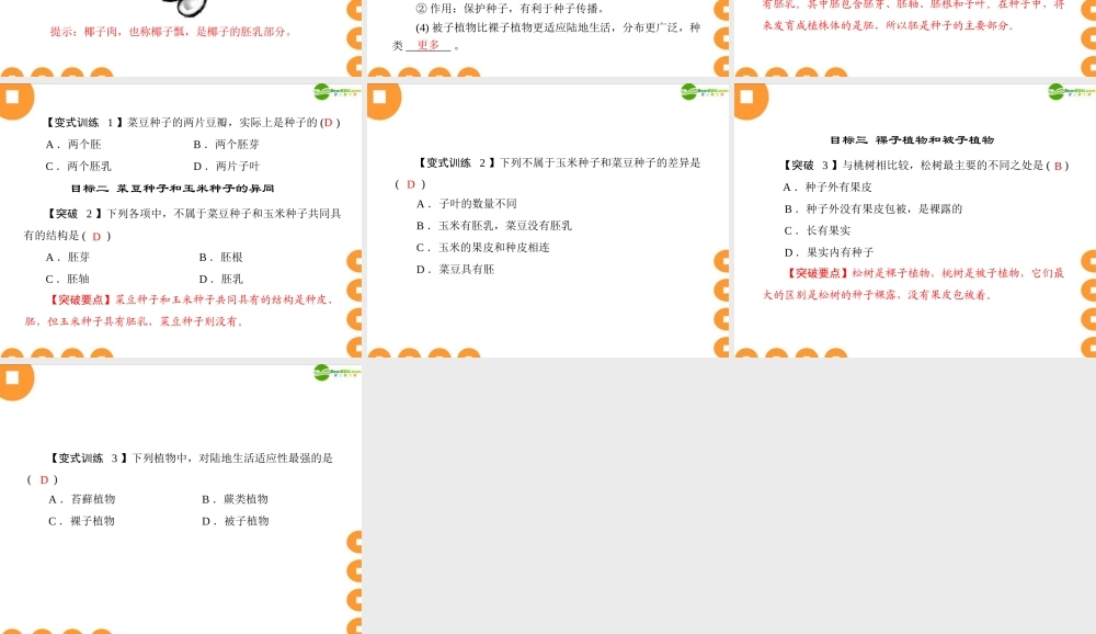 (随堂优化训练)七年级生物上册 第三单元 第一章 第二节 种子植物配套课件 人教新课标版 课件