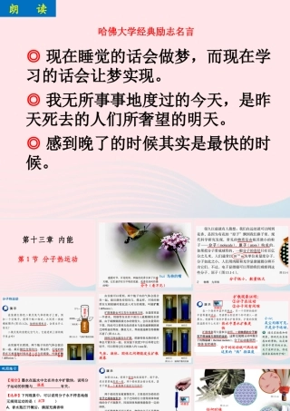 131分子热运动课件 九年级物理全册 13.1分子热运动课件+素材 (新版)新人教版