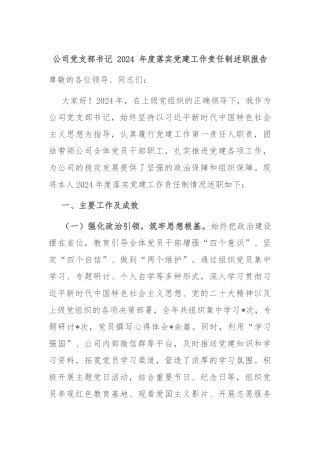 公司党支部书记 2024 年度落实党建工作责任制述职报告