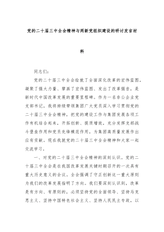党的二十届三中全会精神与两新党组织建设的研讨发言材料
