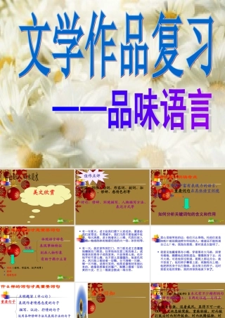 中考语文作文课件 文学语言的品味 课件