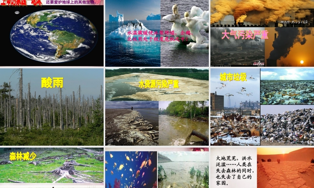 七年级政治下册 第四单元 第14课 人最宝贵的是生命课件 苏教版 课件