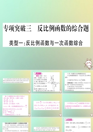 中考数学精选准点备考复习 第二轮 中档题突破 专项突破3 反比例函数的综合题课件 新人教版 课件