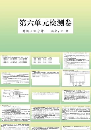 (河南专版)九年级语文上册 第六单元 检测卷作业课件 新人教版 课件