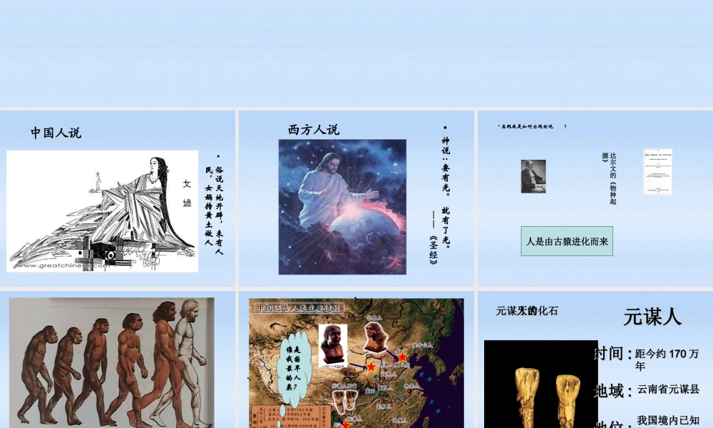 七年级历史上册 第1课(祖国境内的远古居民)课件 人教新课标版 课件