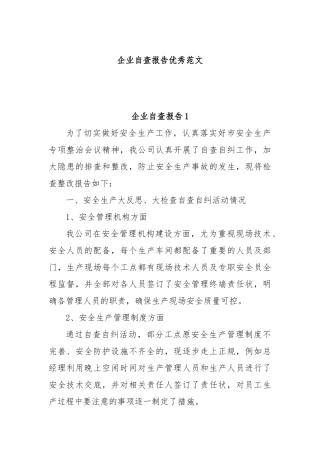 企业自查报告优秀范文