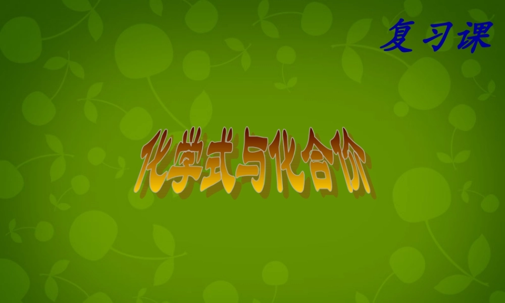 九年级化学上册 44 化学式与化合价课件2 新人教版 课件