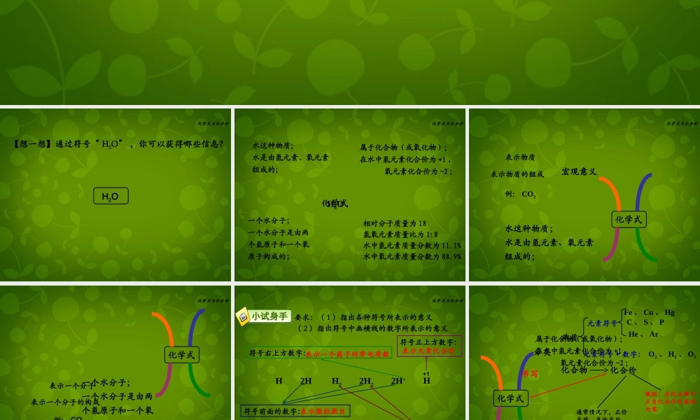 九年级化学上册 44 化学式与化合价课件2 新人教版 课件