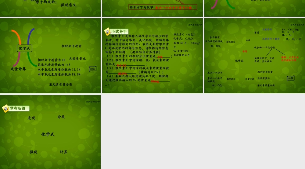 九年级化学上册 44 化学式与化合价课件2 新人教版 课件