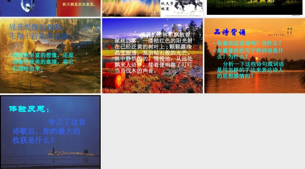 (秋天)课件6 七年级语文上册第三单元(秋天)课件8套人教版