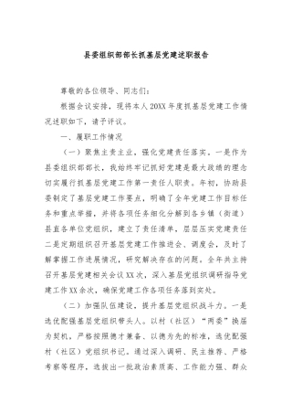 县委组织部部长抓基层党建述职报告