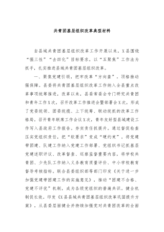 共青团基层组织改革典型材料