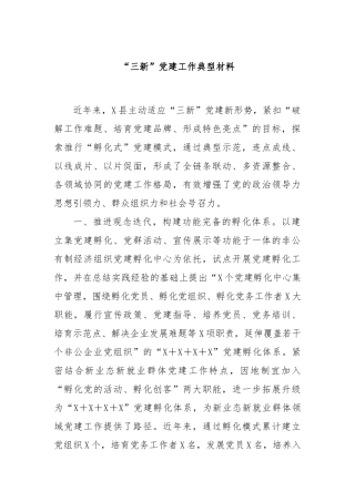 “三新”党建工作典型材料