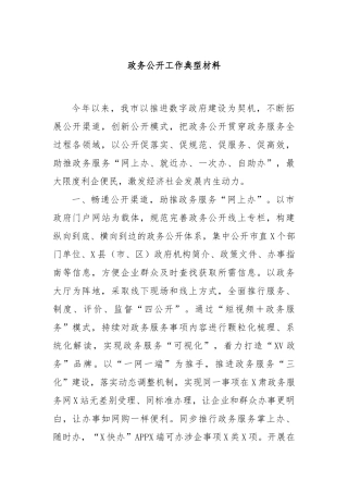 政务公开工作典型材料