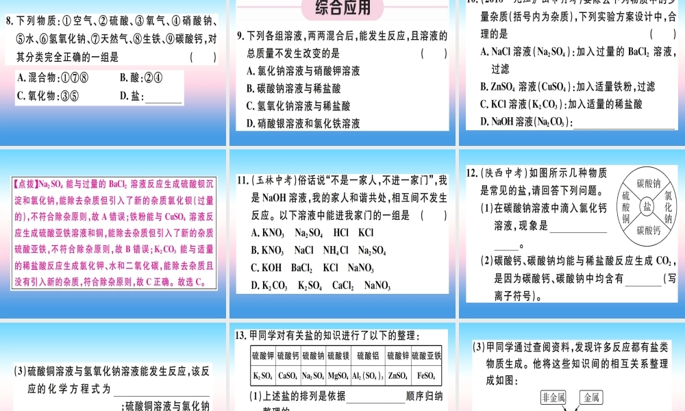 九年级化学下册 第十一单元 盐 化肥 第2课时 复分解反应 盐的化学性质习题课件 (新版)新人教版 课件