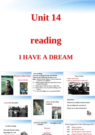 11-12年高二英语 Unit 14 reading I have a dream课件 大纲人教版 课件