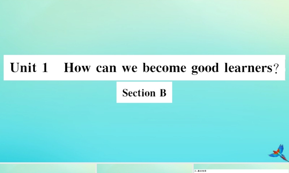 (河南专版)九年级英语全册 Unit 1 How can we become good learners Section B习题课件 (新版)人教新目标版 课件