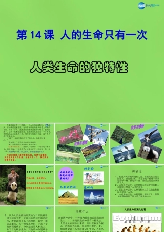 七年级政治下册 第四单元 14.1 人类生命的独特性课件 苏教版 课件