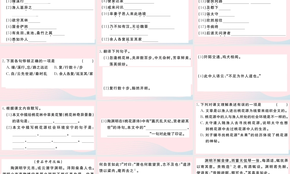 (武汉专版)八年级语文下册 第三单元 9 桃花源记习题课件 新人教版 课件