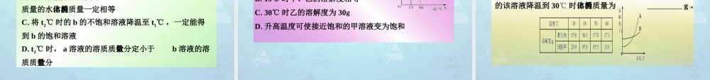 九年级化学下册 第9单元 课题3 第2课时 溶解度课件 新人教版 课件