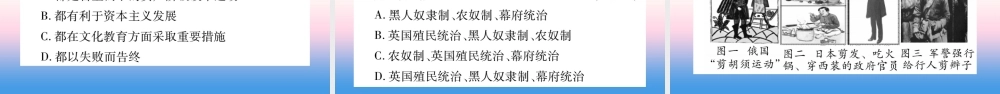 九年级历史下册 第1单元 殖民地人民的反抗与资本主义制度的扩展 第4课 日本明治维新自学课件 新人教版 课件