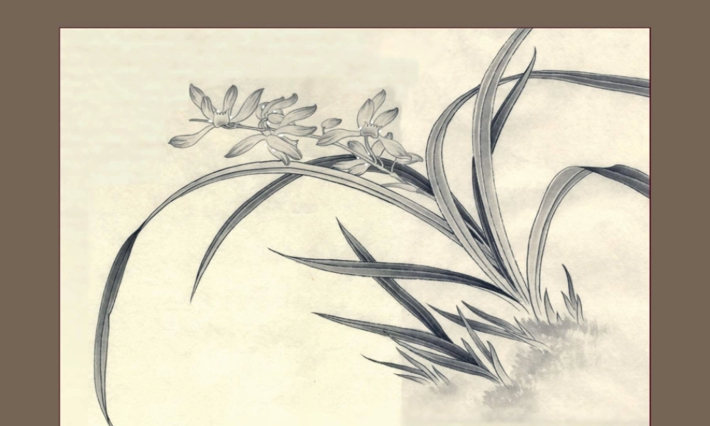 中考语文复习课件 浓缩的精华 课件