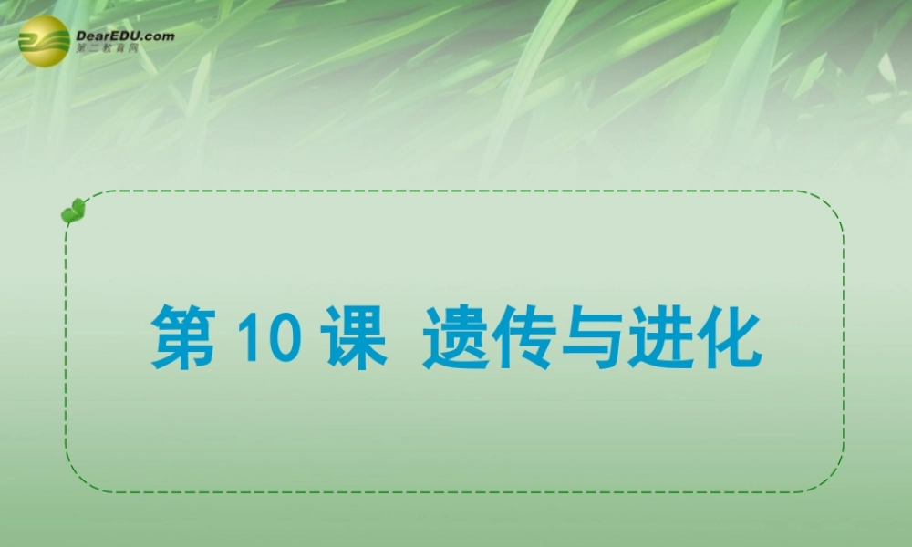 中考科学专题复习 第10课 遗传与进化课件