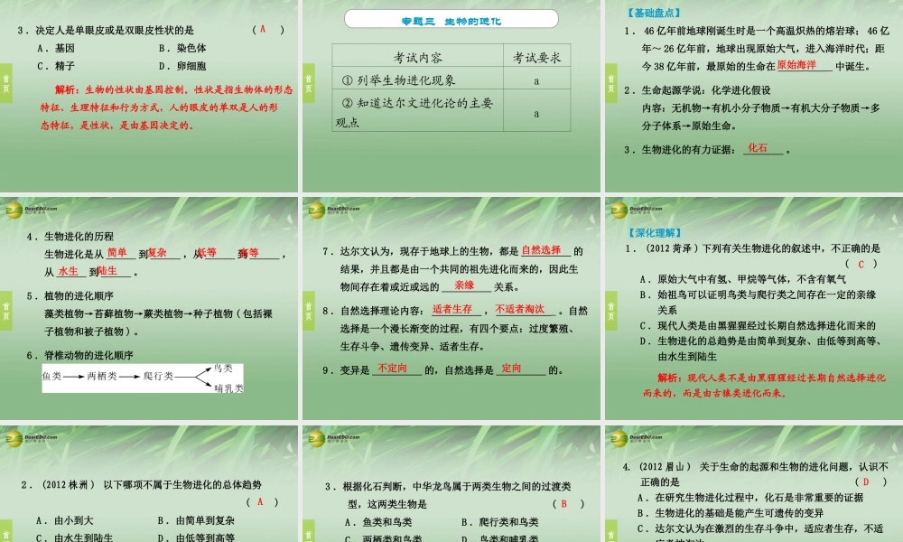 中考科学专题复习 第10课 遗传与进化课件