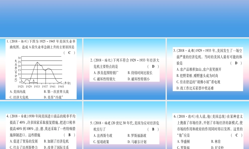 (云南专用)中考历史总复习 第一篇 考点系统复习 板块5 世界现代史 主题二 资本主义经济危机和第二次世界大战(精练)课件