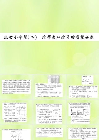 九年级化学下册 第九单元 溶液 滚动小专题(二)溶解度和溶质的质量分数复习课件 (新版)新人教版 课件
