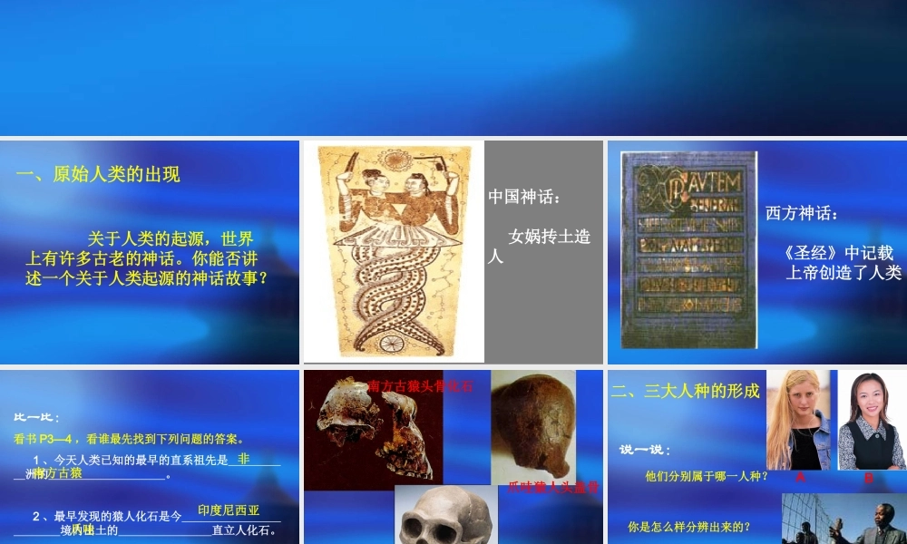 九年级历史上第1课 史前时期的人类 课件(华东师大版) 课件