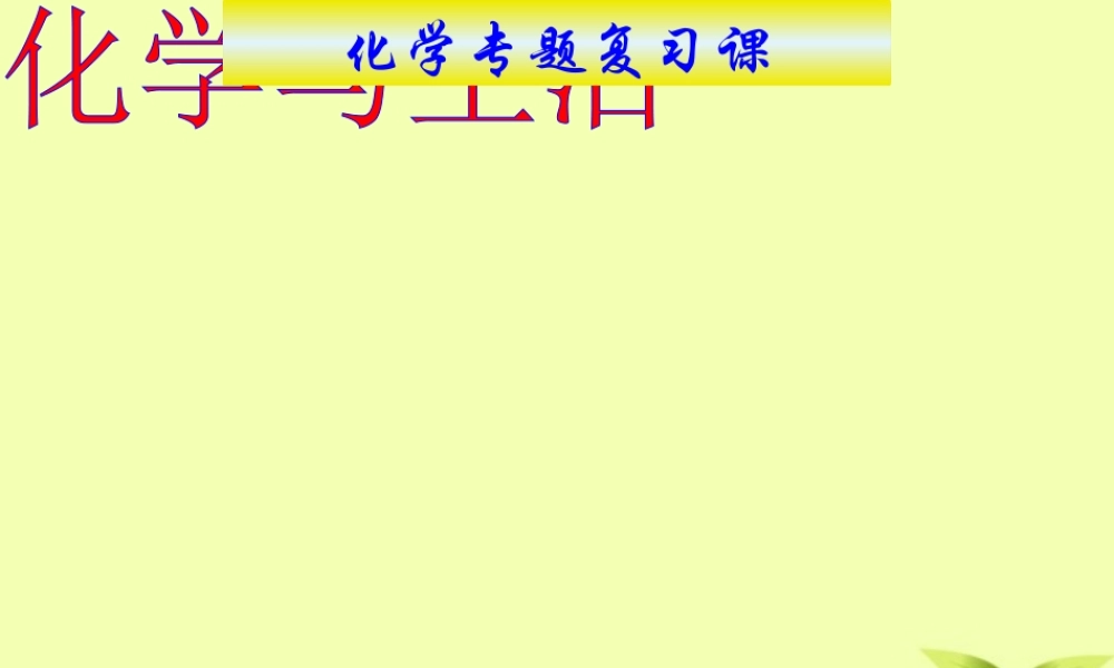 九年级化学(化学与生活)复习课件