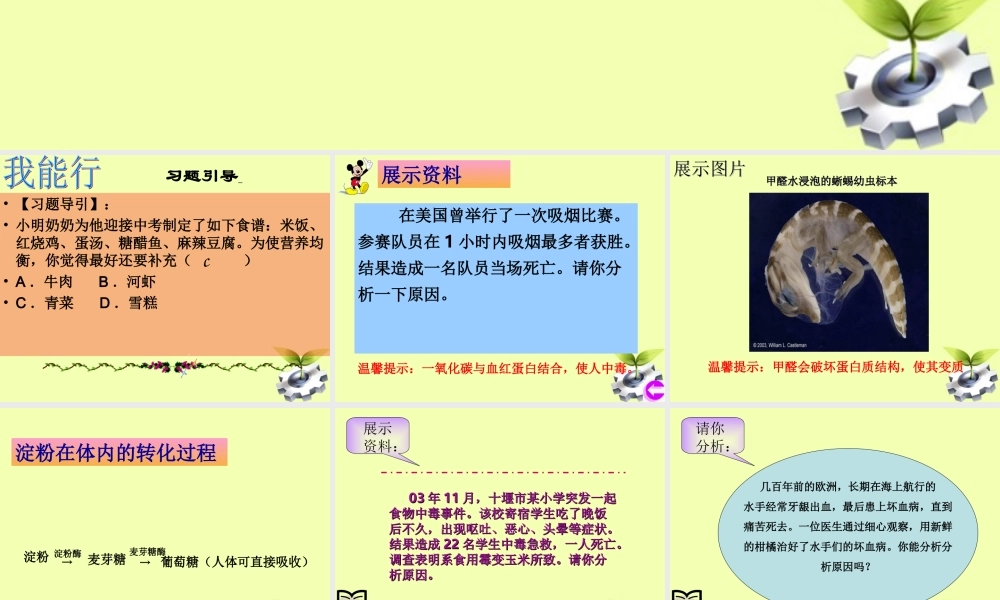 九年级化学(化学与生活)复习课件