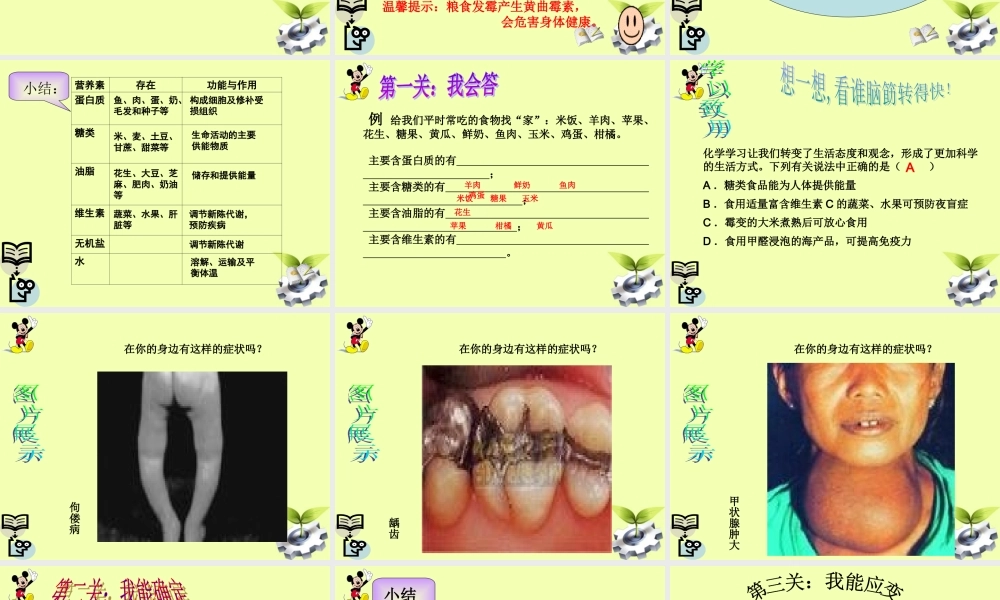 九年级化学(化学与生活)复习课件