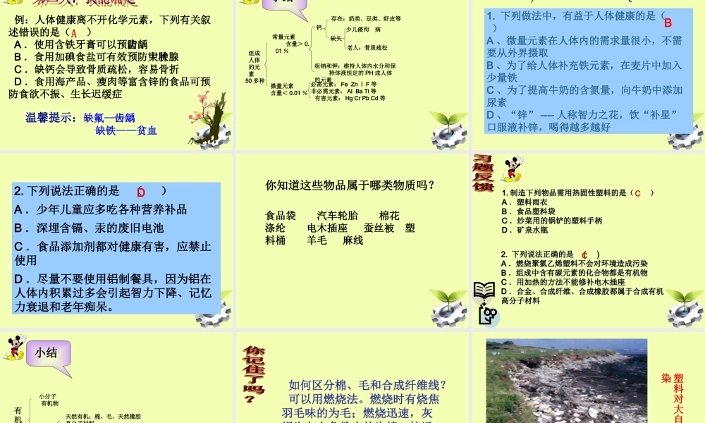 九年级化学(化学与生活)复习课件