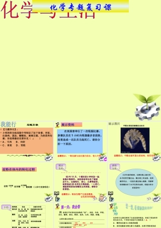九年级化学(化学与生活)复习课件