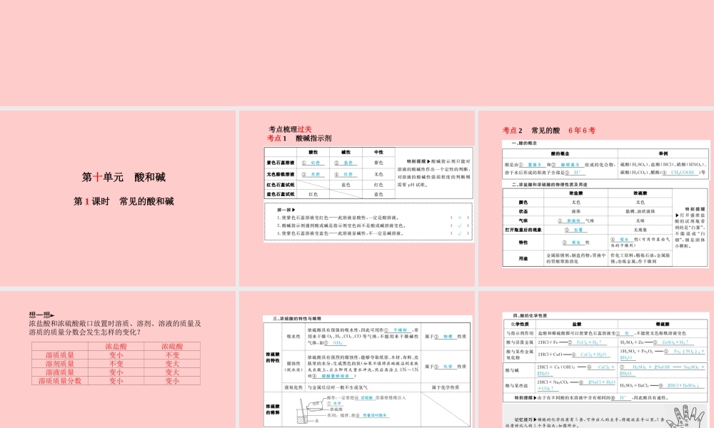 (临沂专版)中考化学总复习 第一部分 系统复习 成绩基石 第十单元 酸和碱 第1课时 常见的酸和碱课件 新人教版 课件