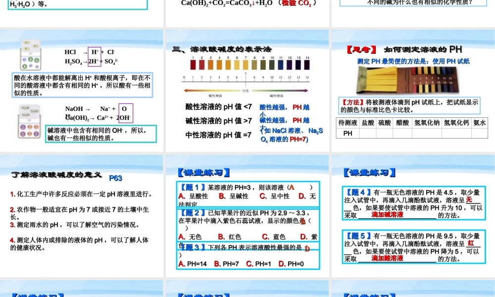九年级化学上册 第十单元课题1 常见的酸和碱课件 鲁教版 课件