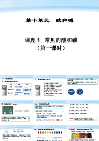 九年级化学上册 第十单元课题1 常见的酸和碱课件 鲁教版 课件