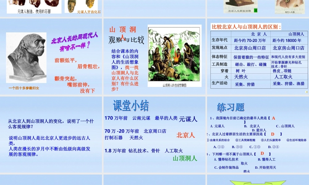 七年级历史上册 第一单元第1课中华大地的远古人类课件 北师大版 课件