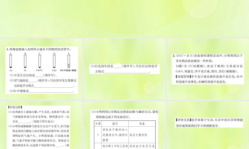 九年级化学下册 第十单元 酸和碱 实验专题(一)酸的化学性质复习课件 (新版)新人教版 课件
