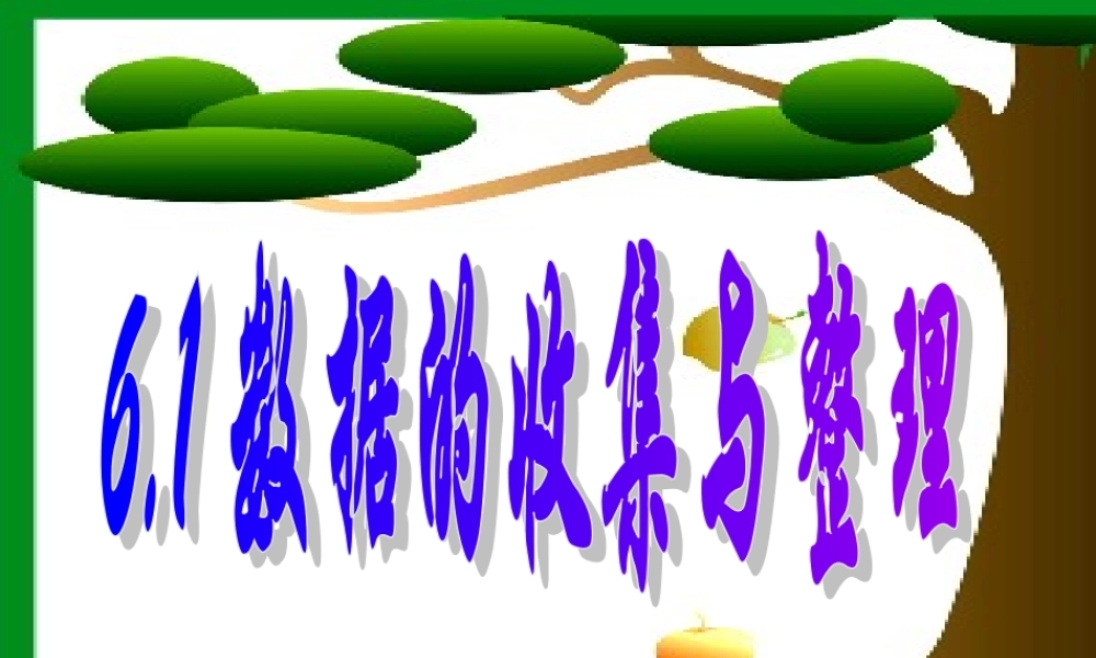 6.1 数据的收集与整理 浙江省初一数学(上)全部课件整理 浙教版
