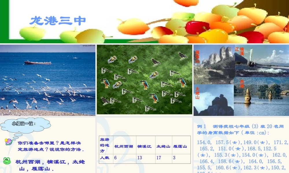 6.1 数据的收集与整理 浙江省初一数学(上)全部课件整理 浙教版