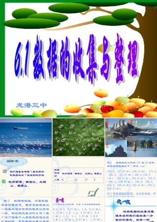 6.1 数据的收集与整理 浙江省初一数学(上)全部课件整理 浙教版