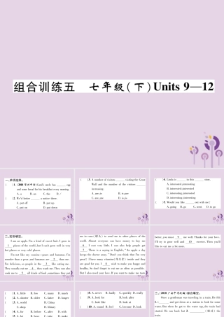中考英语总复习 第一篇 教材知识梳理篇 组合训练5 七下 Units 9 12(精练)课件