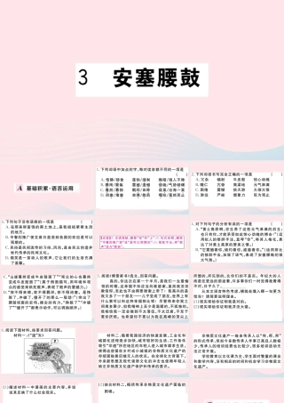 (河南专版)八年级语文下册 第一单元 3 安塞腰鼓习题课件 新人教版 课件