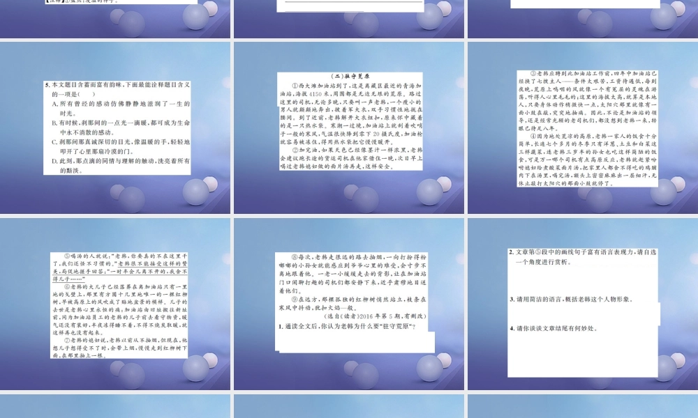 中考语文总复习 第二十一讲 记叙文 散文小说阅读 九 中考试题预测作业课件-2