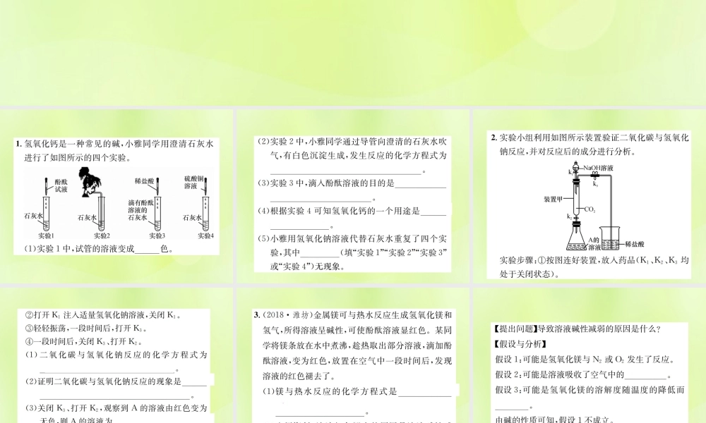 九年级化学下册 第十单元 酸和碱 实验专题(二)碱的化学性质复习课件 (新版)新人教版 课件