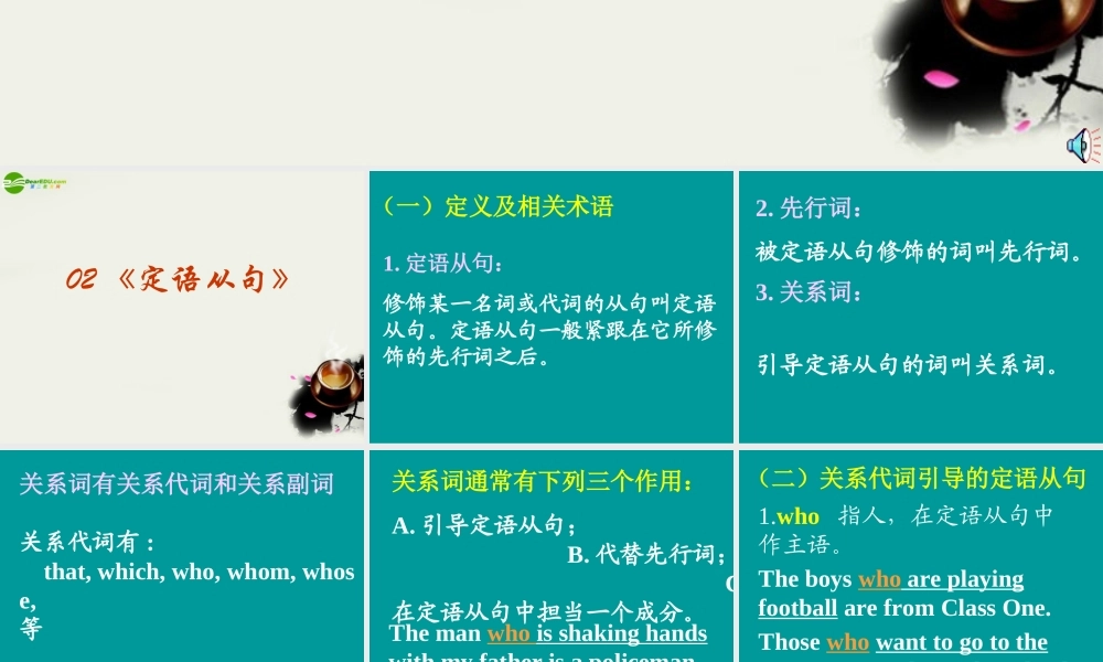 中考英语(定语从句)语法专题复习系列课件